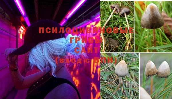 скорость Бородино