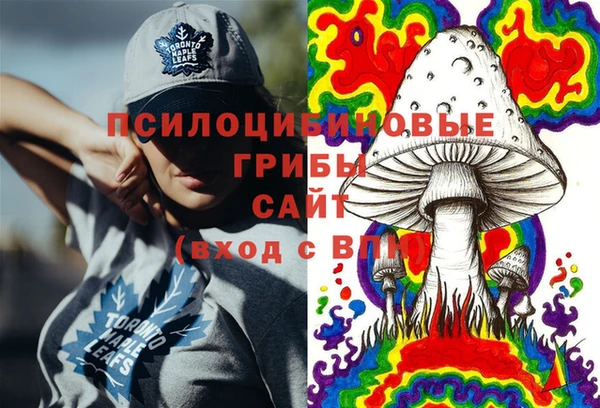 скорость Бородино