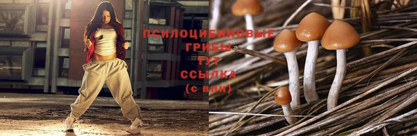 скорость Бородино