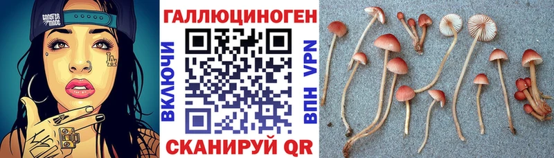 площадка официальный сайт мега Катайск Псилоцибиновые грибы Cubensis